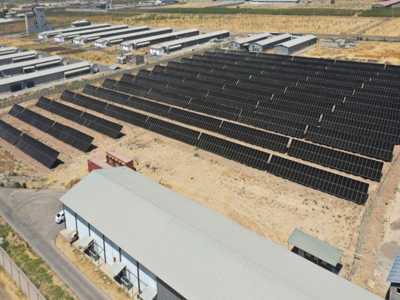 2 MW ground-mounted solar project at Poultry Farm, Tashkent